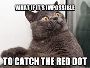conspiracy cat