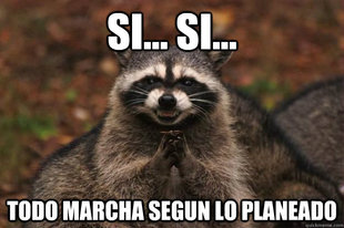 Evil Plotting Raccoon