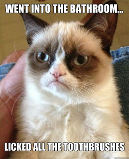 Grumpy Cat