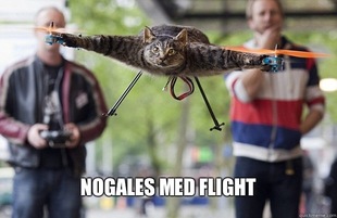 Helicopter Cat