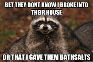 Evil Plotting Raccoon