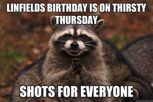 Evil Plotting Raccoon