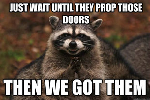 Evil Plotting Raccoon