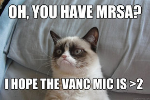 GrumpyCatOL