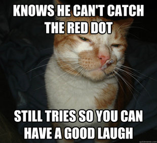 Cool Cat Craig
