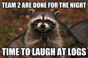 Evil Plotting Raccoon