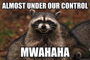 Evil Plotting Raccoon
