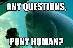 Overlord Manatee
