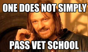Lord of The Rings meme