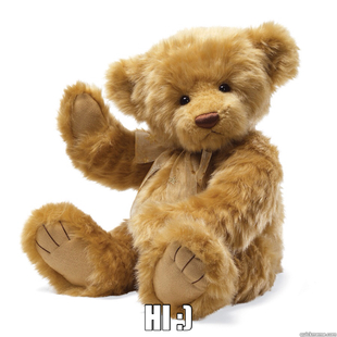 Teddy Bear