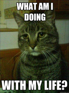 Depressed cat