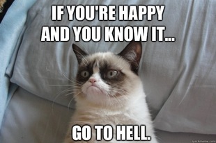 GrumpyCatOL