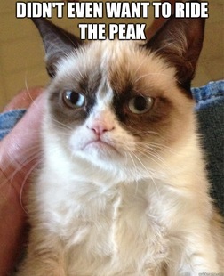 Grumpy Cat
