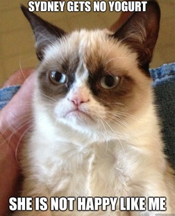 Grumpy Cat