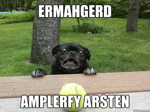 Berks Dog