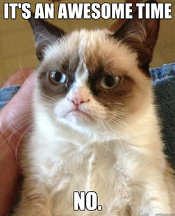 Grumpy Cat