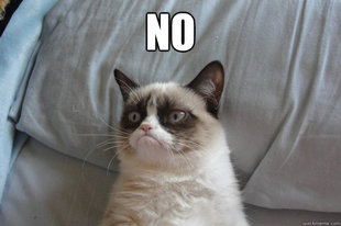 GrumpyCatOL