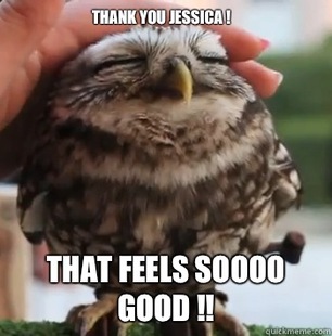 cute owl