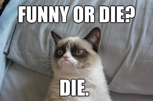 GrumpyCatOL