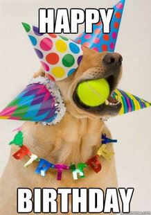 Birthday Dog