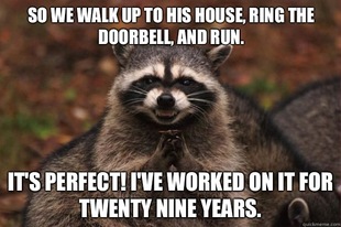 Evil Plotting Raccoon