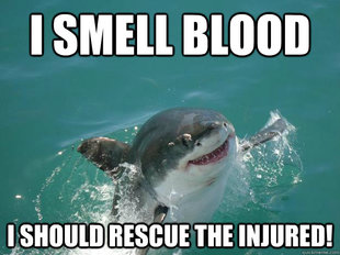 Misunderstood Shark