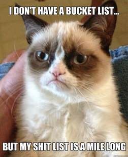 Grumpy Cat