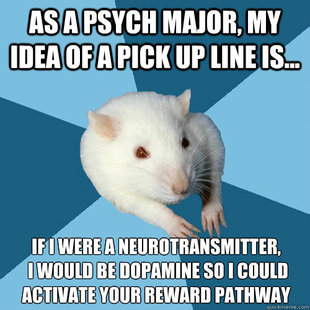 Psychology Major Rat