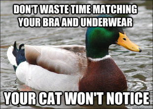 Actual Advice Mallard