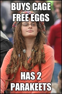 Bad Argument Hippie