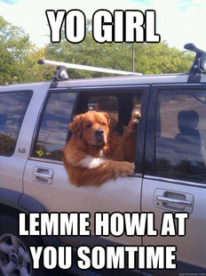 Gangster Dog
