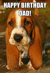 Unemployable Basset Hound Puppy