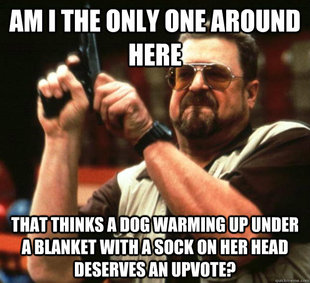 Angry Walter