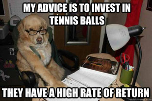 Financial Advice Dog