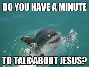Misunderstood Shark