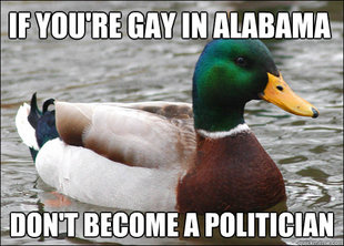 Actual Advice Mallard