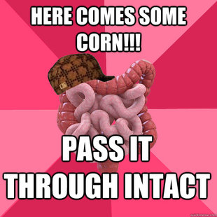 Scumbag Intestines