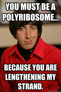 Howard Wolowitz