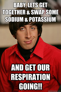 Howard Wolowitz