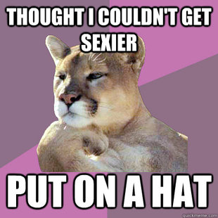 Poetry Puma