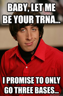 Howard Wolowitz