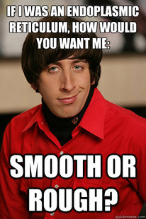 Howard Wolowitz