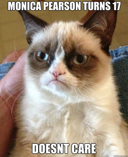 Grumpy Cat
