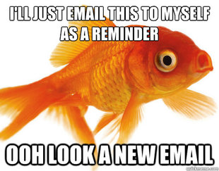 Forgetful Fish
