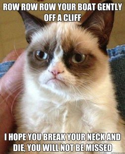 Grumpy Cat