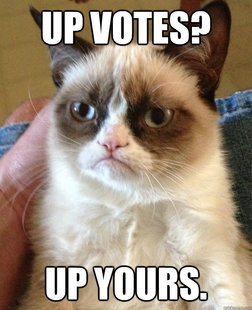 Grumpy cat