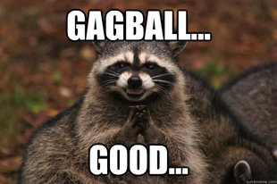 Evil Plotting Raccoon