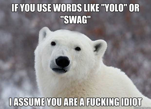 Popular Opinion Polar Bear