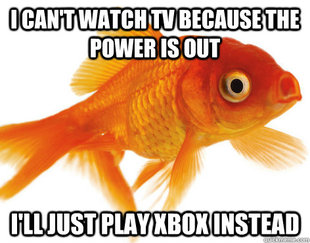 Forgetful Fish