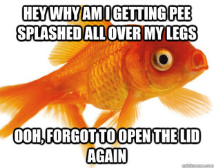 Forgetful Fish